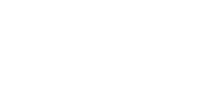 Driver-min copy