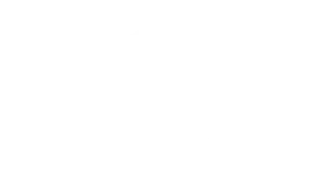 Nissan_2020_logo-min copy
